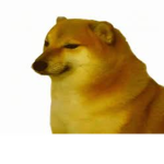 Mewotcha