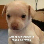Mis compa XD