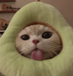cat p3ople