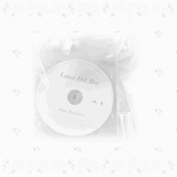꒰ ᙆ𝗓﹒レコード .ᐟ﹒՛๑ ꒱