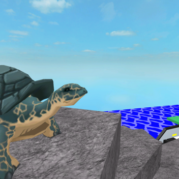 The turtle obby!