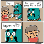 BIRDIES