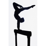 Gymnastics clothing <3