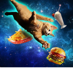 Kitty burger fan club
