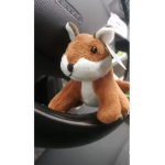 BRUH FOXYA