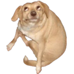 <('-'<)