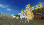 ~Wish Stable~