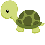 The Epic Turtle's Squad