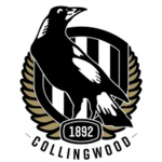 Footy supporters