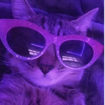 pawsome clothes