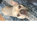 Hello! friends and free stuff! ColbieCat6