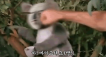 팝팝팝