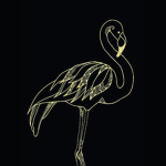 My Little Flamingos