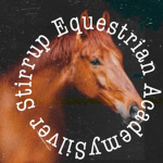 Silver Stirrup Equestrian Academy