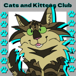 cats and kitten club