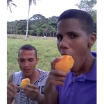 Manguito Clasico