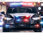 Police role play