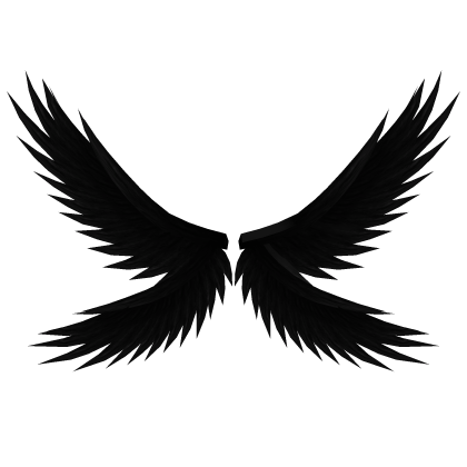 Black Fallen Angel Wings