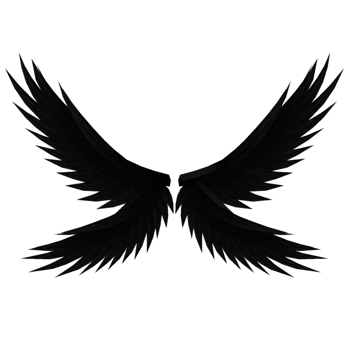 Black Fallen Angel Wings