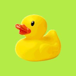 The Ugly Duckling