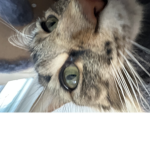 Soda’s Project