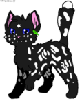 Fun warrior cats group