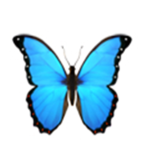 Butterfly Club (robux)