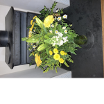 FunFlowerSquad