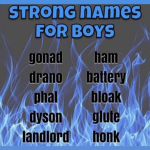 The Blue Boys Official