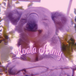 Koala Army official