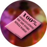 Completionist [UNOBTAINABLE] Roblox badge thumbnail