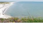 Tent Island