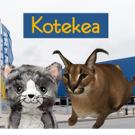 Kotekea