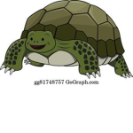 turtle _dead _boy