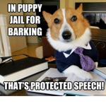 PUPPY JAIL SQUAD!!!!!!!!!!!!!!