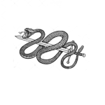 vipera oscura
