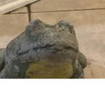 Cocomelonhaha
