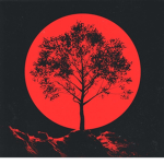 Crimson Studio X