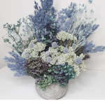 ~Beautiful Plants~
