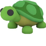 Turtle! (Sophie's group for friends and others)