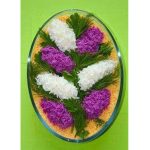 Plant Vs Flower Group Thumbnail