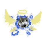 Machina Wawa