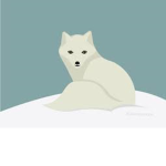 ArcticSky Fox Clothing