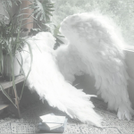 • wren’s boutique • Group Thumbnail