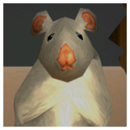 Dancing Rat Obby 🐀 [68 Stages]