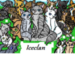 Iceclan (Warrior Cats RP)
