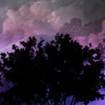 ─── ⋆ ⋅ ❍ ⋅ ⋆ ───