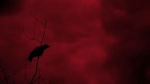 Hell Crow's