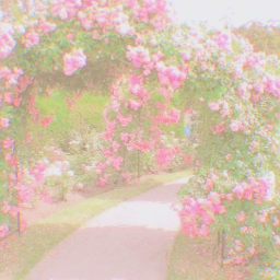 ✧･ﾟ: *✧･ﾟ:*