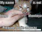 Cats with Moustache